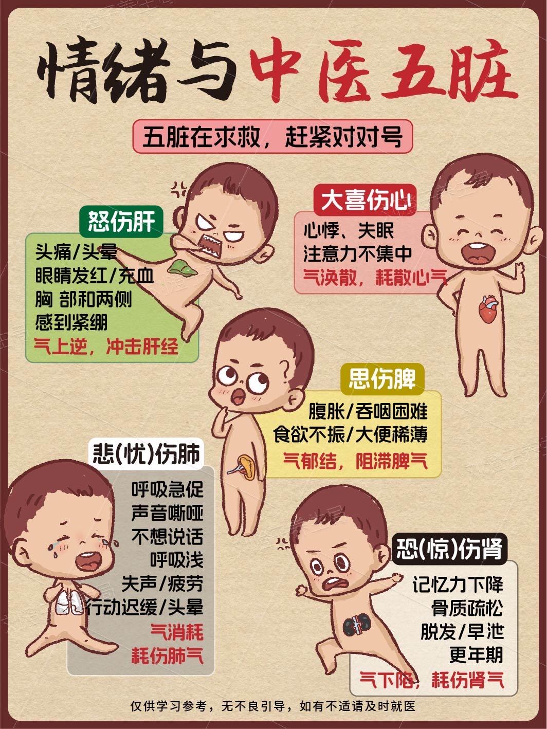 全面解析中医养生方法核心要点