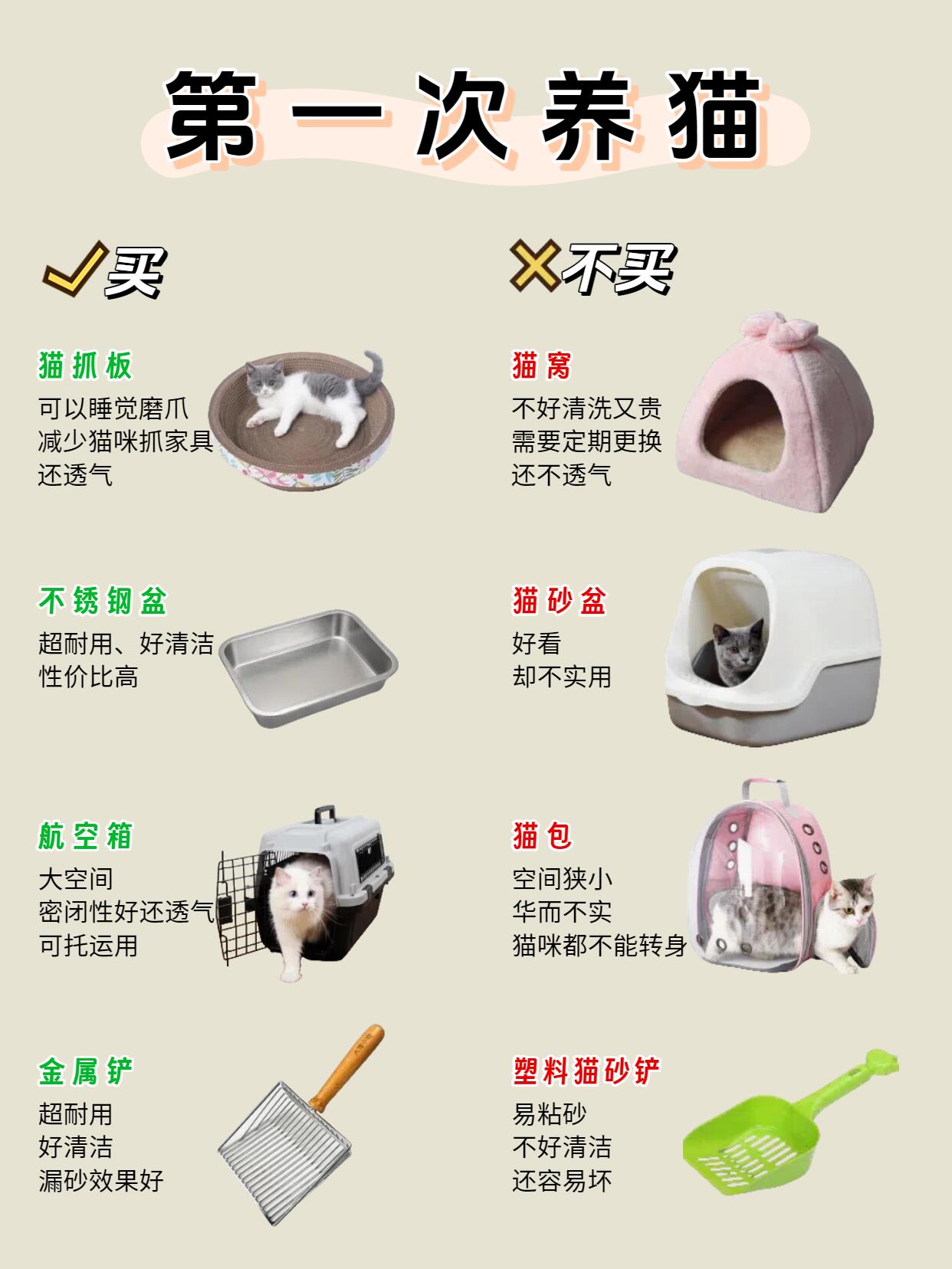 第一次养猫完整指南|新手零踩坑全套攻略