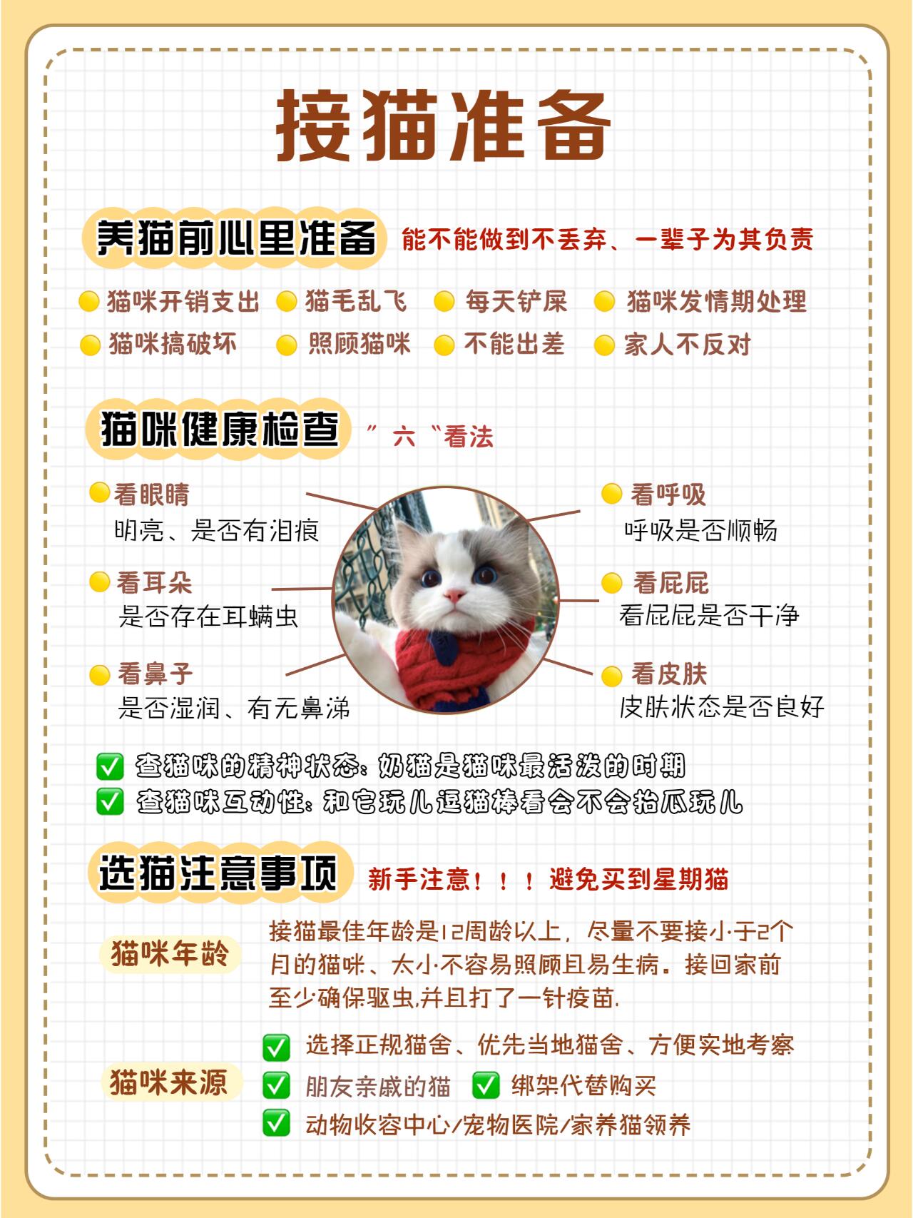 第一次养猫完整指南|新手零踩坑全套攻略