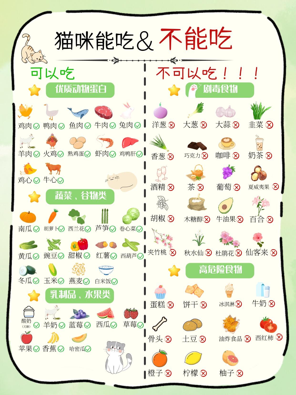 第一次养猫完整指南|新手零踩坑全套攻略