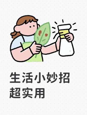 生活小妙招大全(2026 新版|一文看懂)