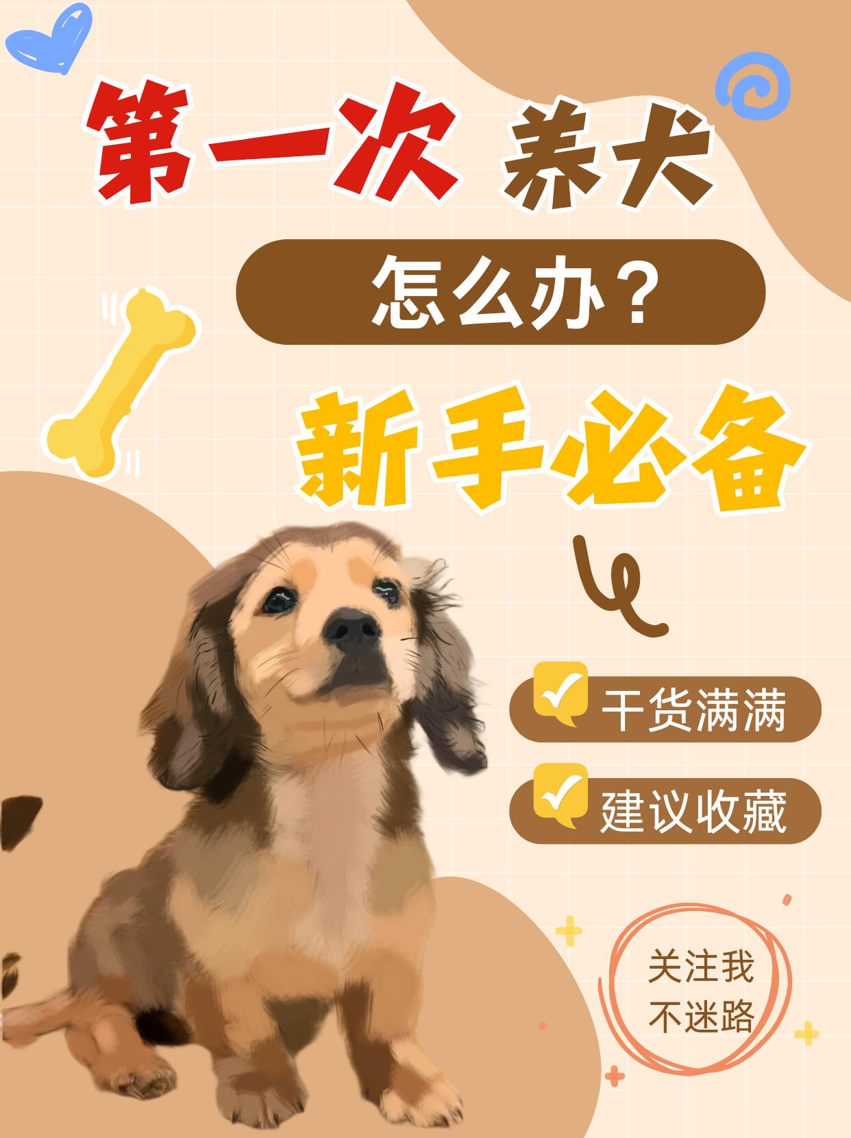 第一次养狗完整指南|新手零踩坑全攻略