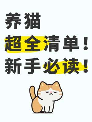 新手养猫最全必备物品清单