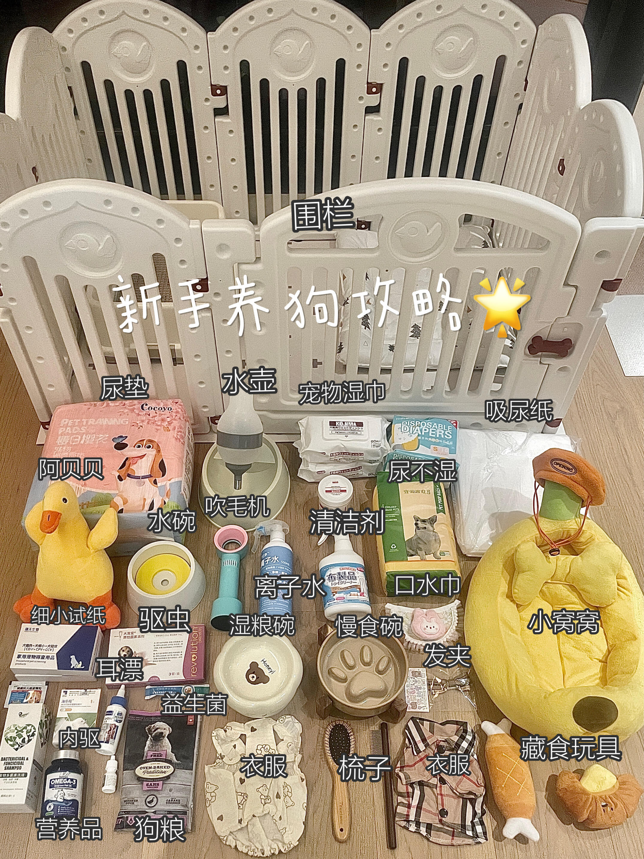 养狗全套必备物品清单(新手直接照着采购不踩坑)