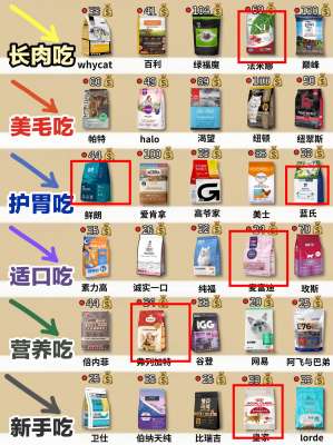 2026 年猫粮品牌完整排行榜