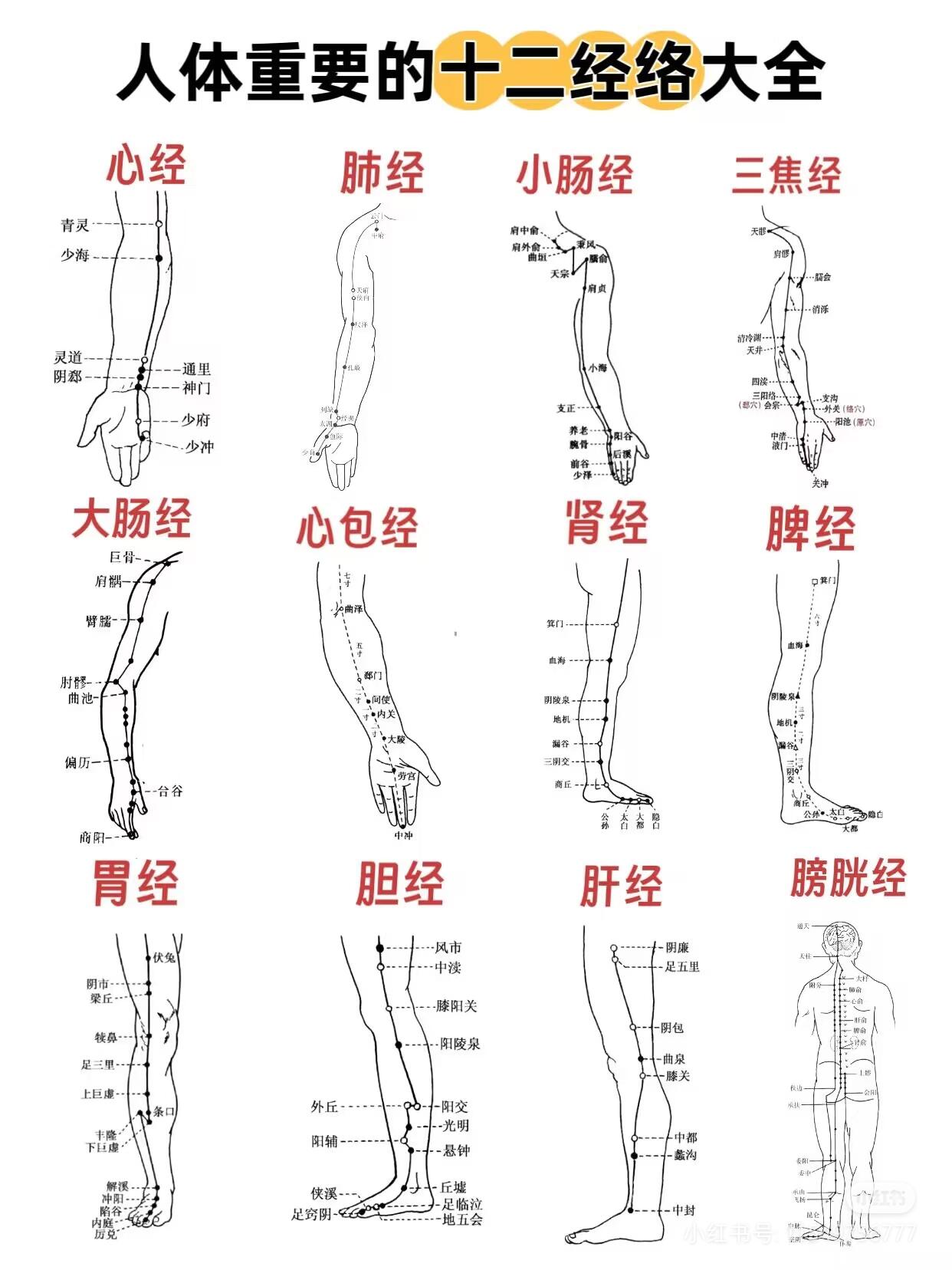 手把手中医康复入门实用教程(零基础自学版)