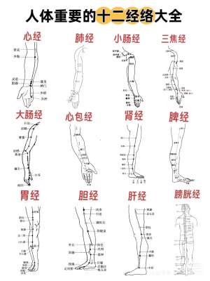 手把手中医康复入门实用教程(零基础自学版)