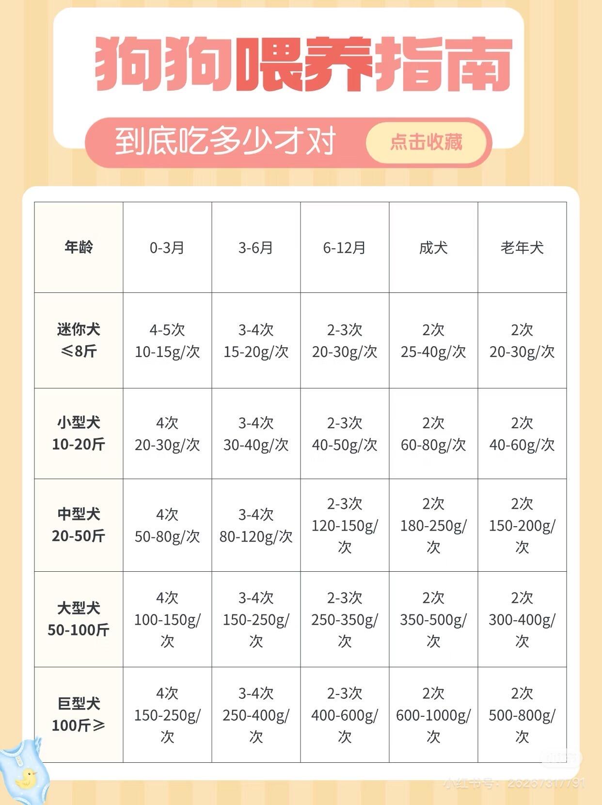 狗狗科学喂养频率|兽医标准全攻略(分年龄+分体型+时间表+避坑)
