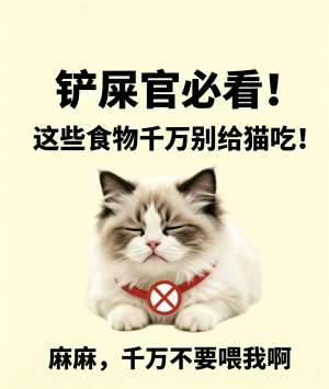猫咪禁食食物清单|绝对不能吃+慎食食物完整版(养猫必看)