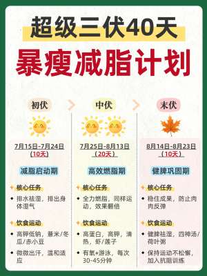 中医减肥经验分享|2026最新行业趋势与未来展望