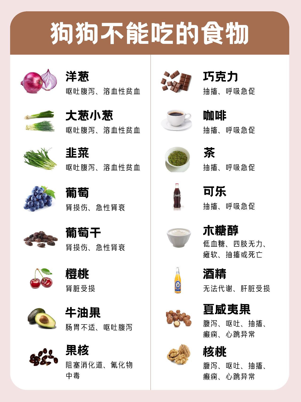 狗狗禁食食物完整清单|致命剧毒、高危禁忌、慎吃食物全汇总