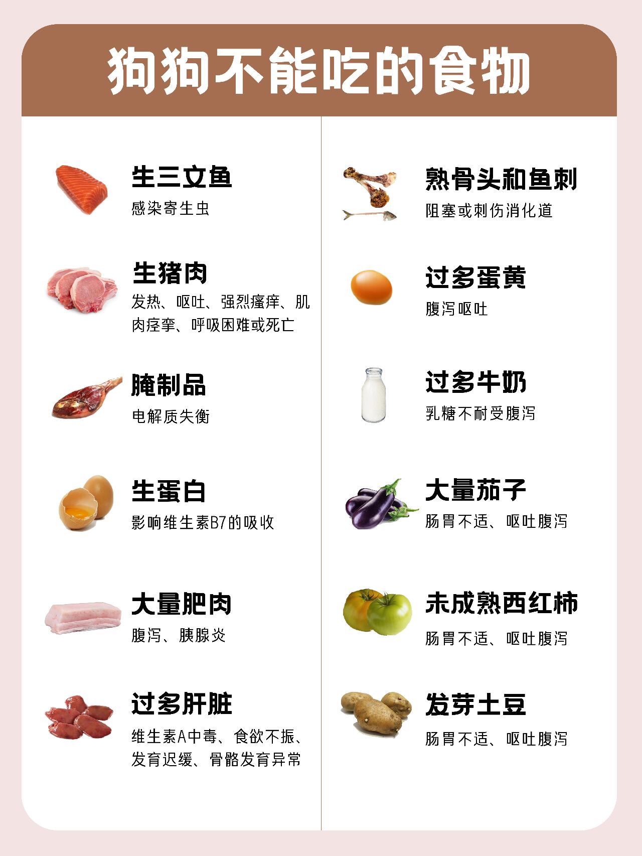 狗狗禁食食物完整清单|致命剧毒、高危禁忌、慎吃食物全汇总
