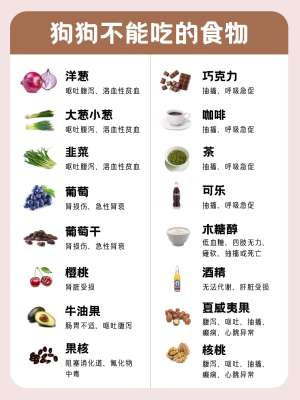 狗狗禁食食物完整清单|致命剧毒、高危禁忌、慎吃食物全汇总