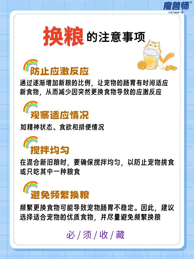 猫咪换粮正确方法|7天科学过渡法(不软便、不呕吐、不挑食)