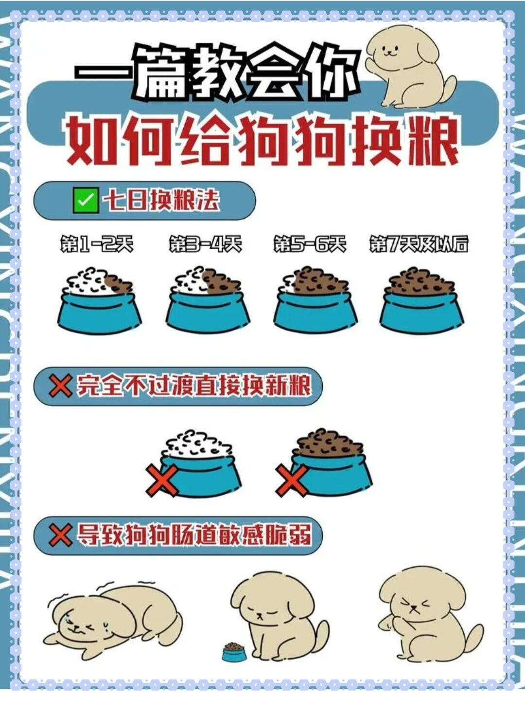 狗狗换粮的正确方法|7天科学换粮法(杜绝软便、拉稀、挑食)