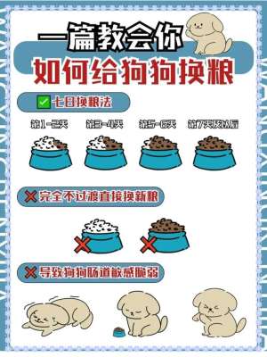 狗狗换粮的正确方法|7天科学换粮法(杜绝软便、拉稀、挑食)