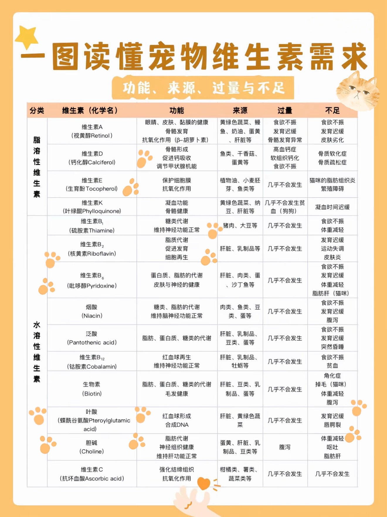 猫咪需要补充的全量营养素|养猫必看