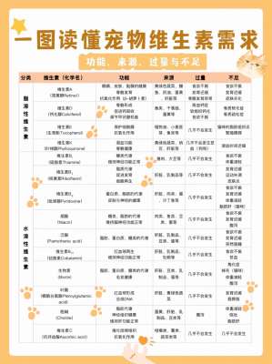猫咪需要补充的全量营养素|养猫必看