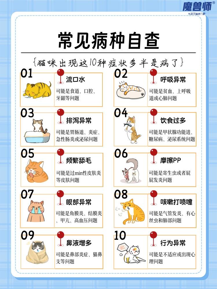 猫咪10种常见疾病及完整预防方案(养猫必备科普)
