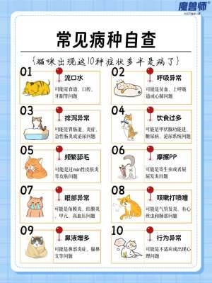 猫咪10种常见疾病及完整预防方案(养猫必备科普)