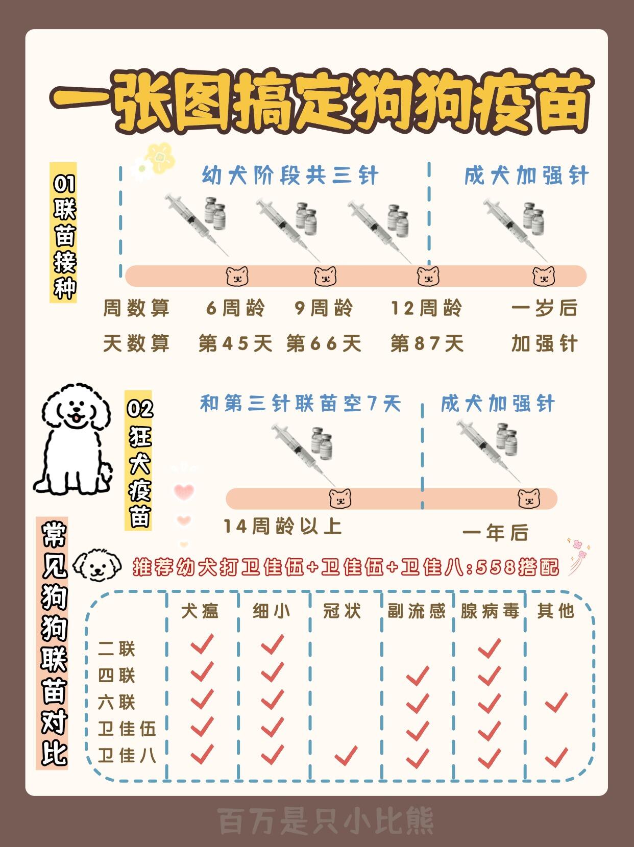 狗狗疫苗接种完整时间表(2026兽医标准)
