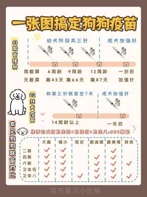 狗狗疫苗接种完整时间表(2026兽医标准)