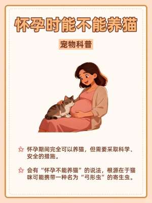 孕期可以养猫吗?专家权威全攻略