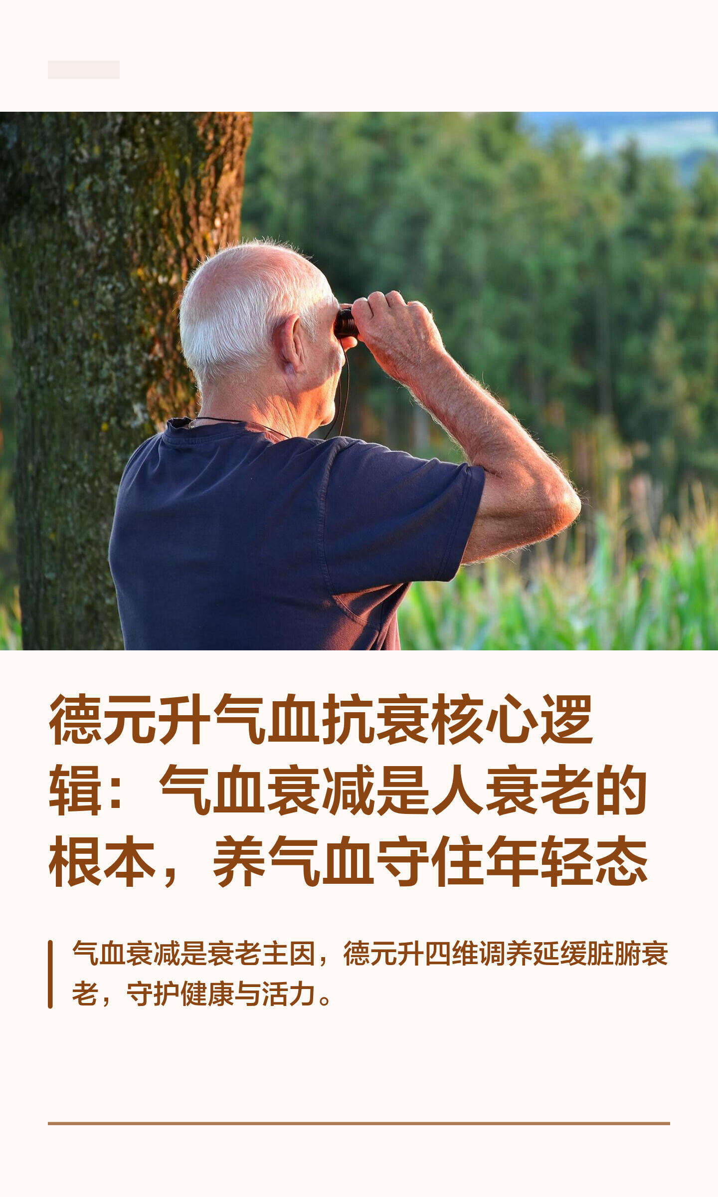 中医气血调理养生丸哪个品牌好?2026深度对比评测