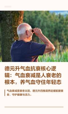 中医气血调理养生丸哪个品牌好?2026深度对比评测