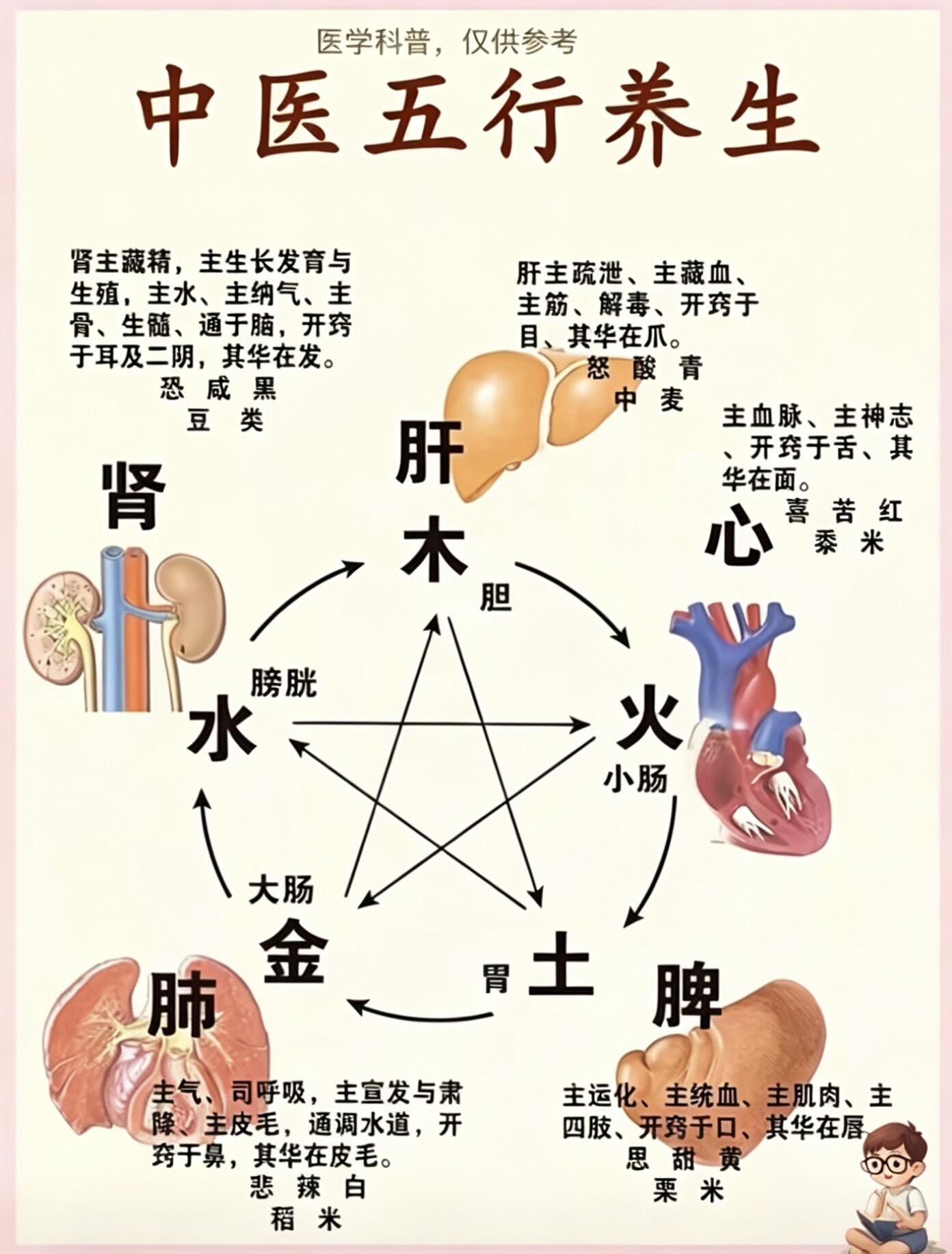 中医五脏养护完整解析|全指南