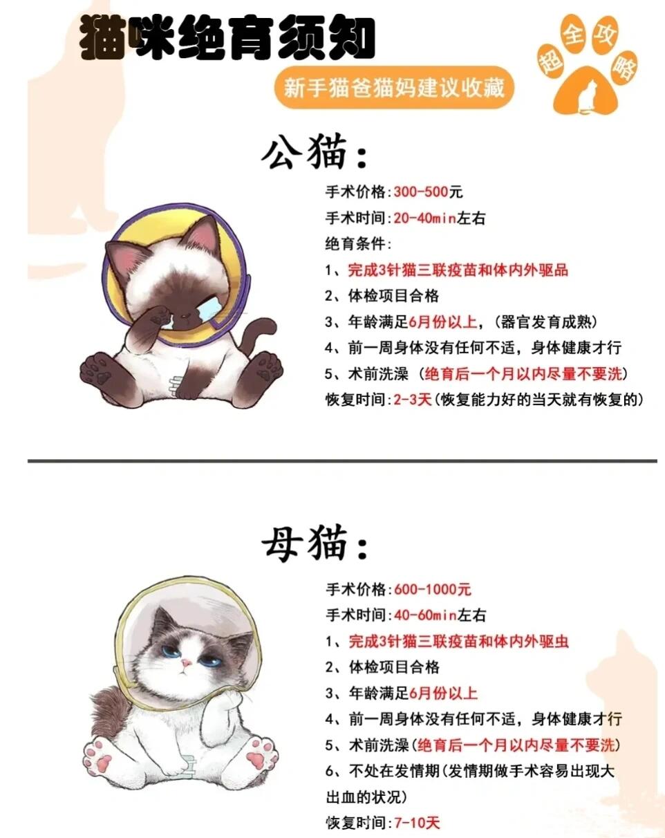 猫咪绝育最佳时间|公母猫精准年龄、发情处理、避坑全攻略