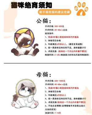 猫咪绝育最佳时间|公母猫精准年龄、发情处理、避坑全攻略