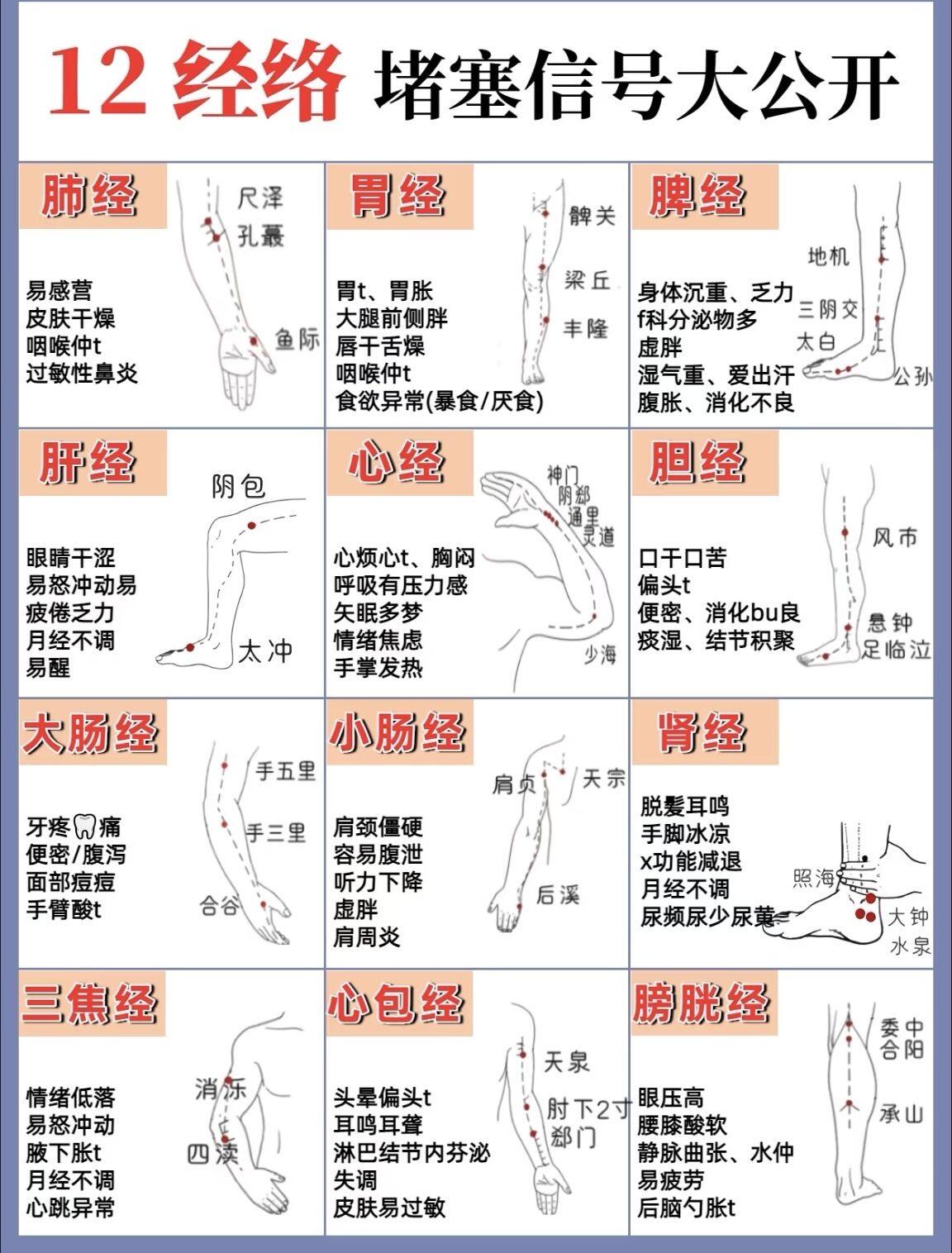 手把手教你|中医养生粉经络疏通实用方法