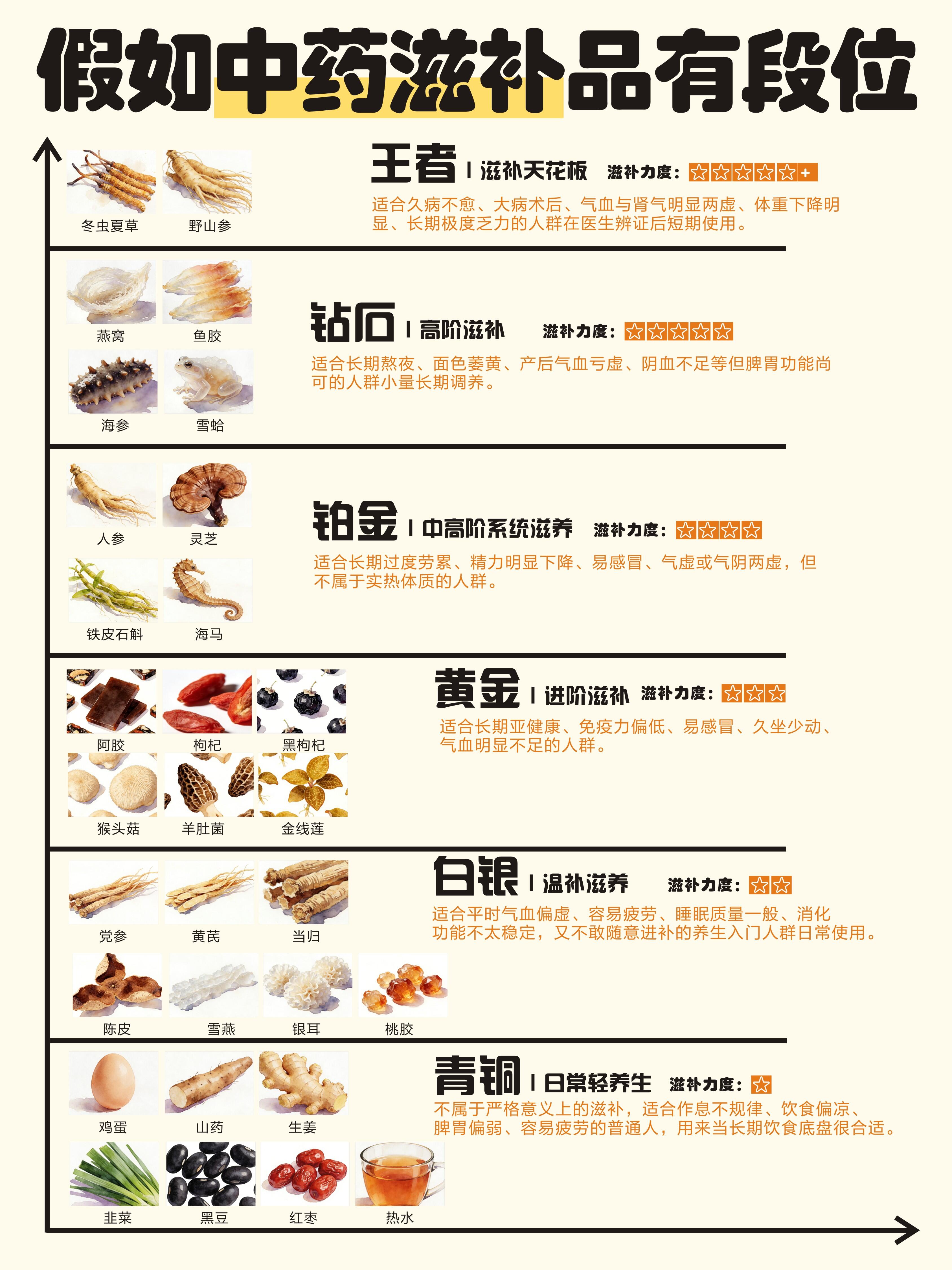 中医养生胶囊食疗品牌深度对比评测(2026)