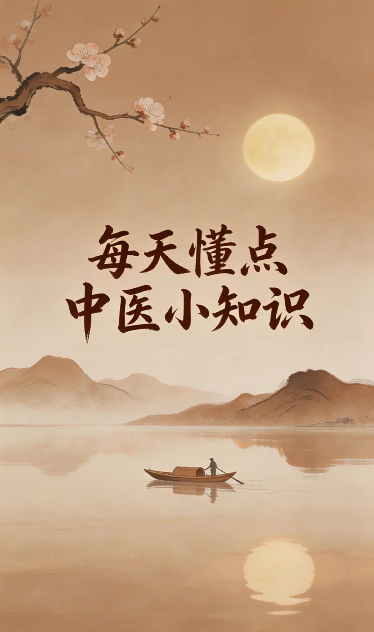 中医养生日常保健核心要点全面解析|零基础通用养生指南
