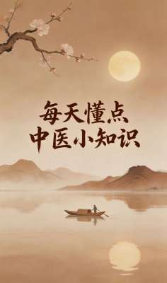中医养生日常保健核心要点全面解析|零基础通用养生指南