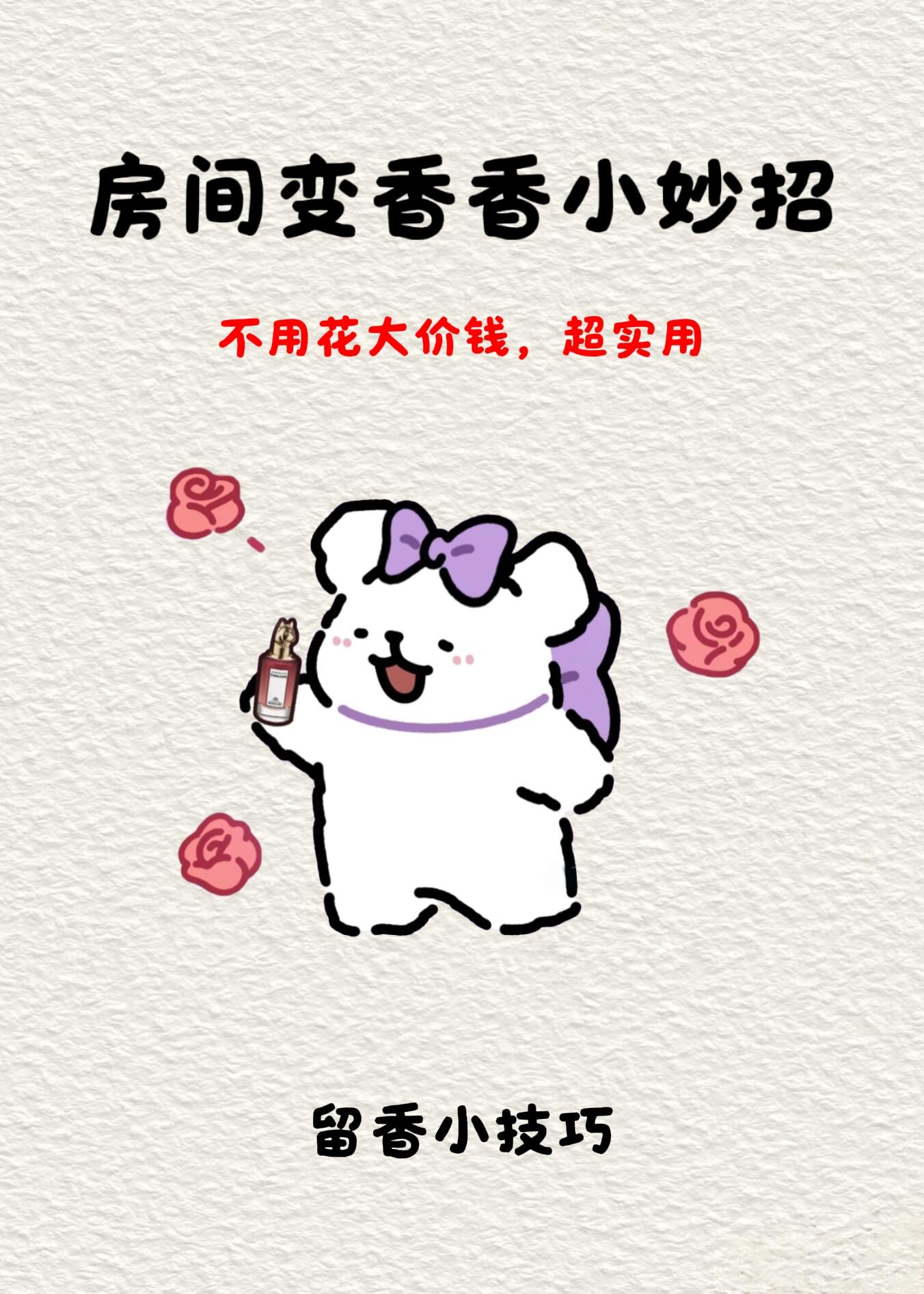 全屋生活除味技巧教程|实战案例+落地方法(去异味不反弹)