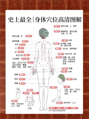 中医按摩亚健康改善品牌深度对比评测|2026实测选型指南