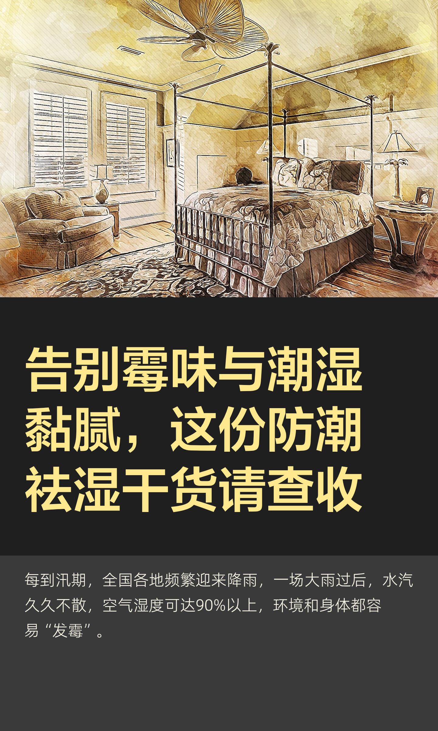 2026生活防霉防潮核心要点|科学根治、零反复、避坑指南