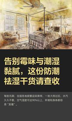 2026生活防霉防潮核心要点|科学根治、零反复、避坑指南