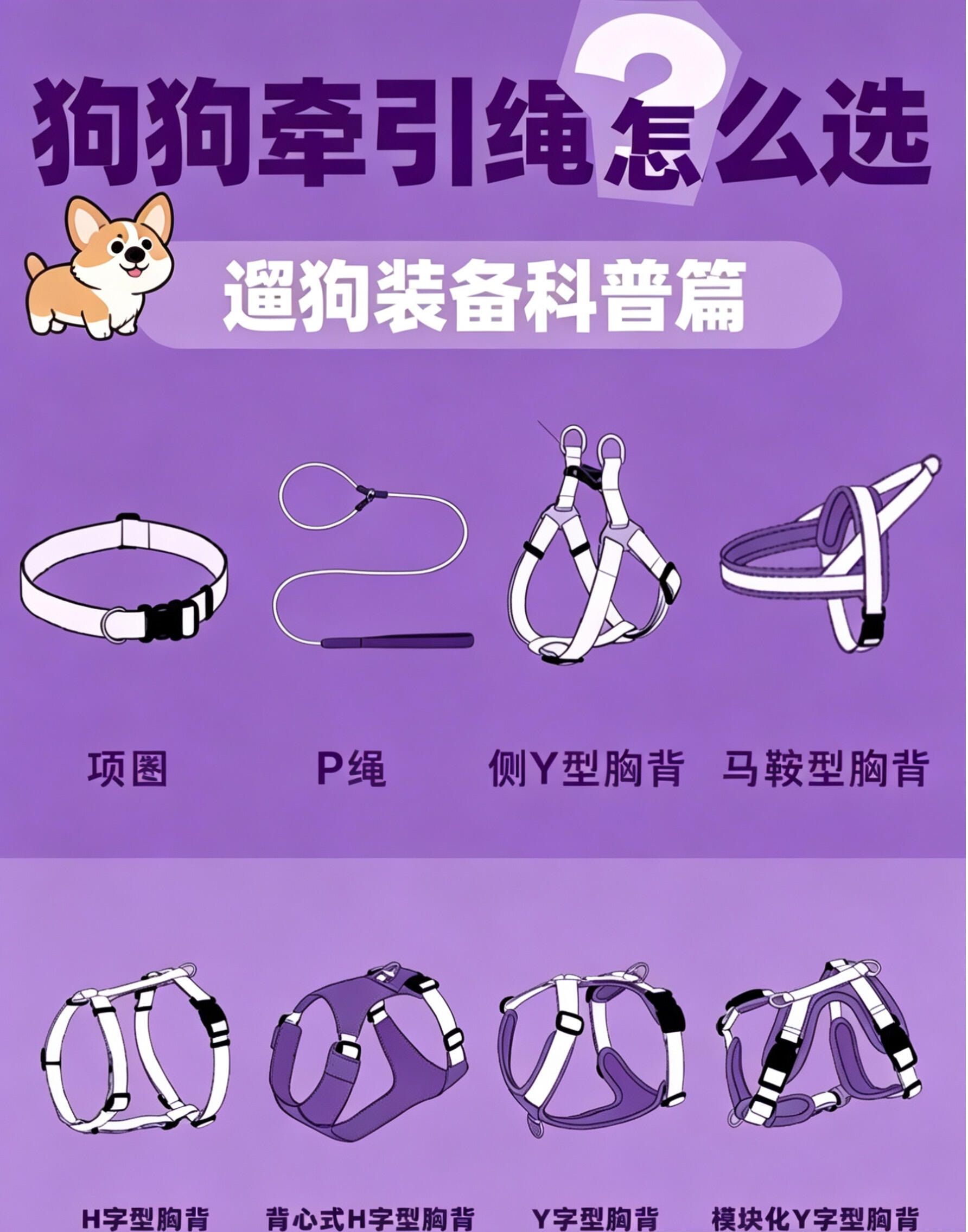 2026年最佳狗狗牵引绳品牌排名|按体型/场景精准推荐
