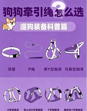2026年最佳狗狗牵引绳品牌排名|按体型/场景精准推荐