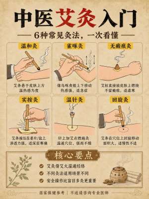 中医艾灸方法最新趋势分析与未来展望(2026行业深度完整版)