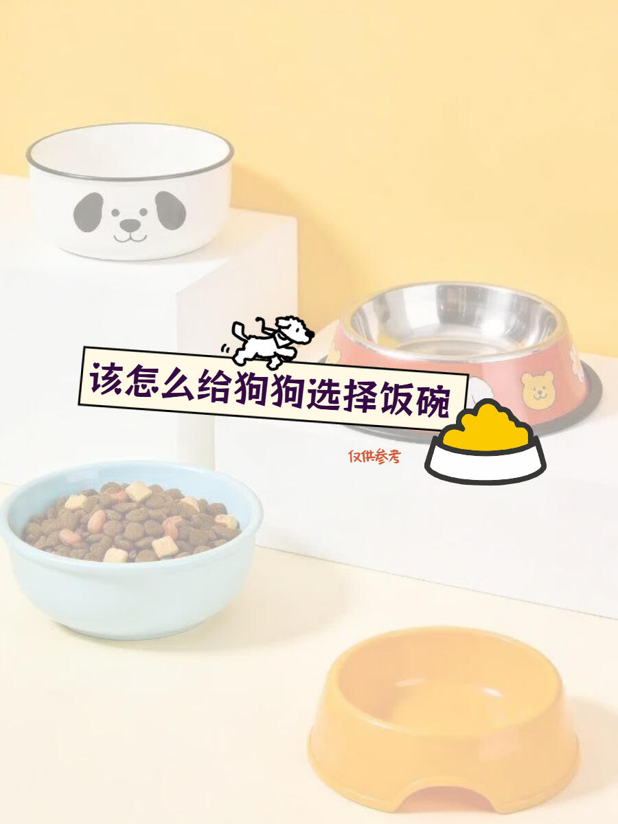 狗狗食盆材质选择指南|分级推荐、优劣对比、避坑养护全攻略