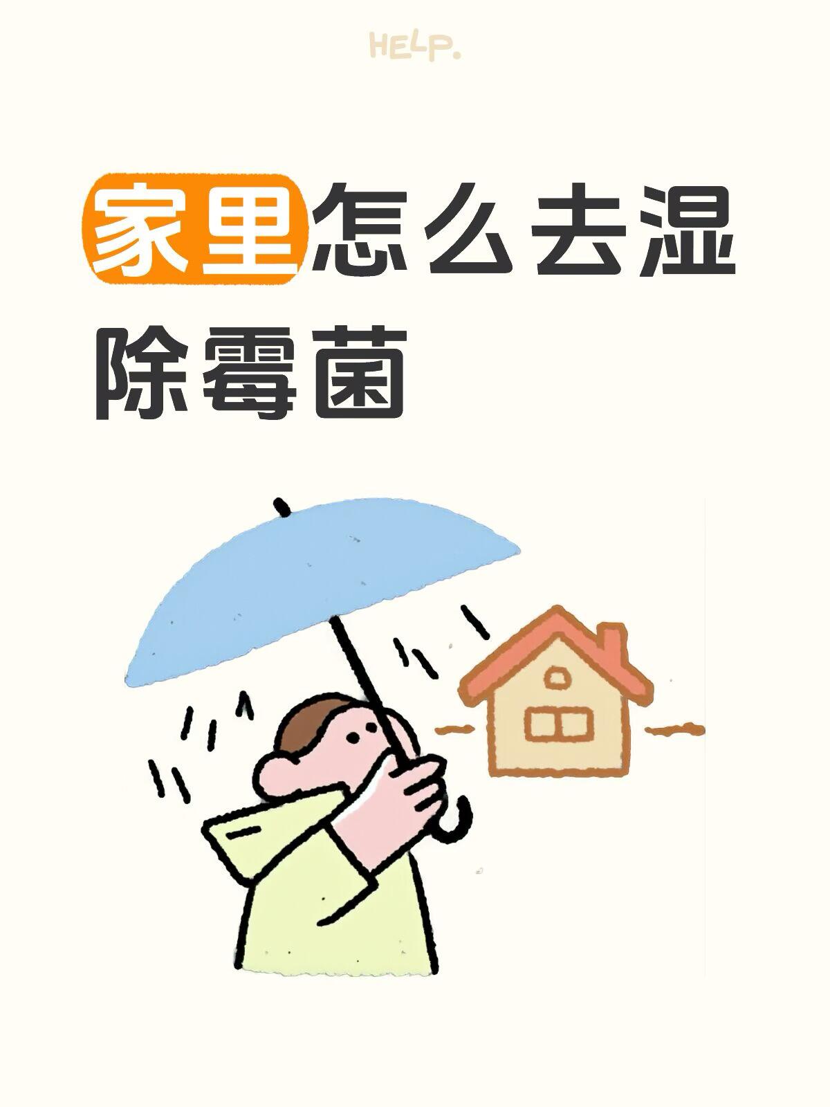 生活防霉防潮完整攻略：一文看懂全屋除湿、除霉、长效预防