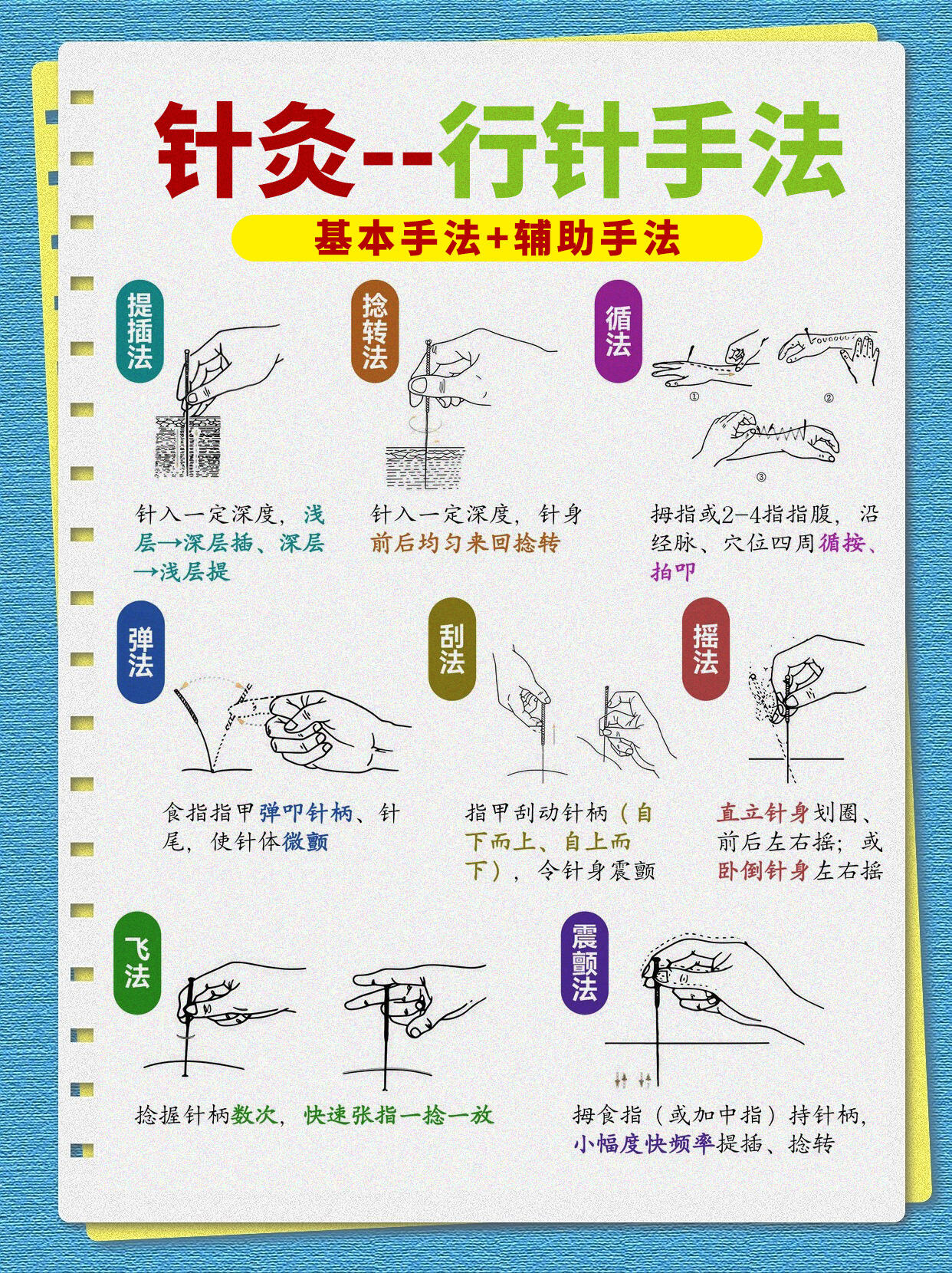 中医针灸完整指南|零基础入门、专家标准化解决方案大全
