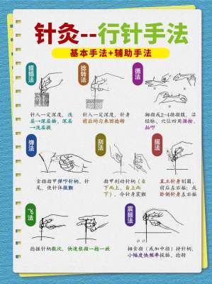 中医针灸完整指南|零基础入门、专家标准化解决方案大全