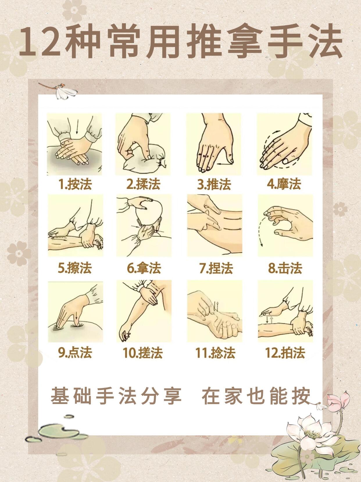 中医推拿教程品牌深度对比评测(2026最全选购指南)