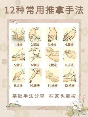 中医推拿教程品牌深度对比评测(2026最全选购指南)