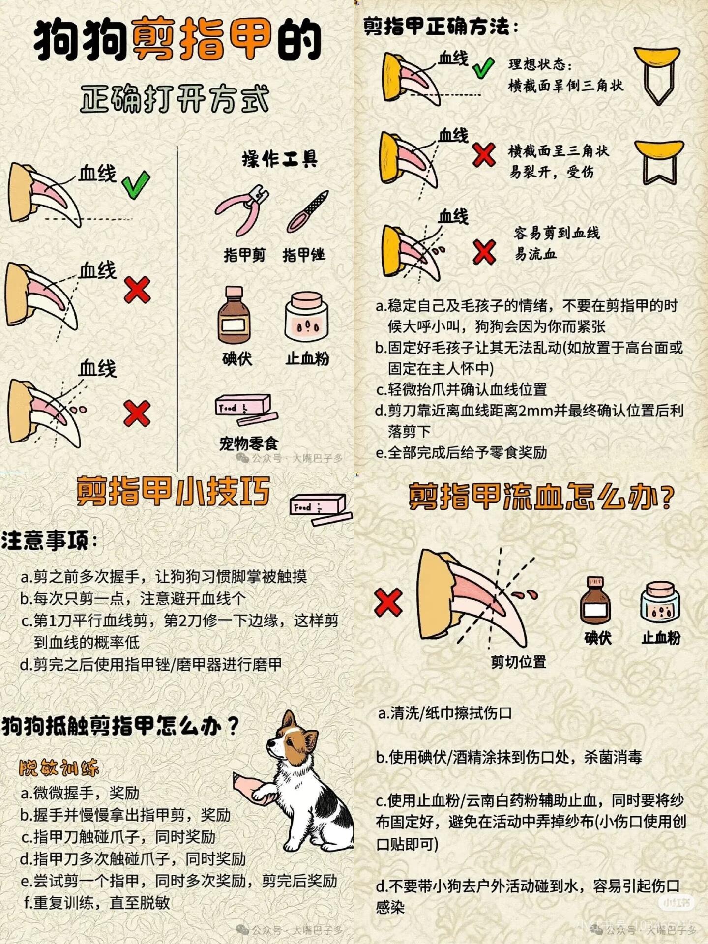 狗狗剪指甲的正确方法|新手零基础教程